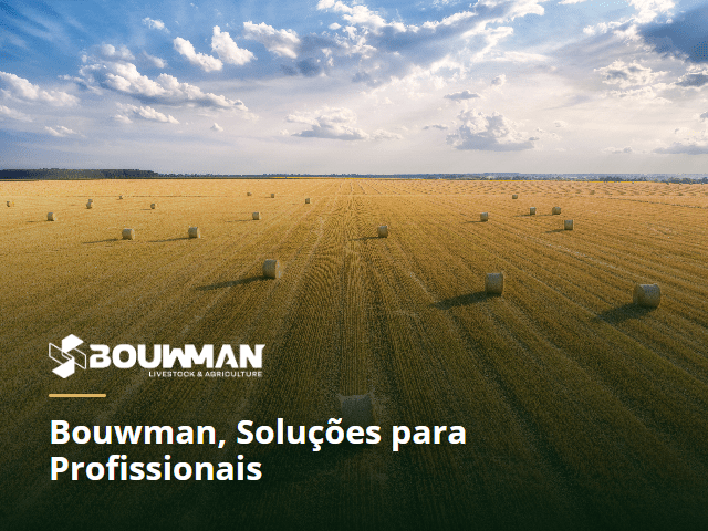 bouwman