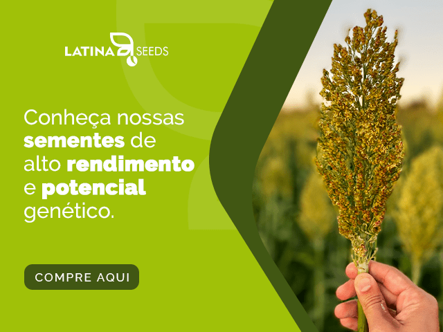 Latina Seeds o parceiro do E-Agro no Bradesco