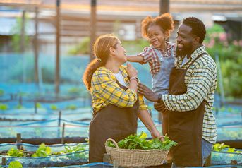 linhas-de-credito linhas-de-credito