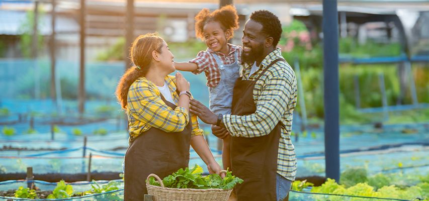 linhas-de-credito linhas-de-credito