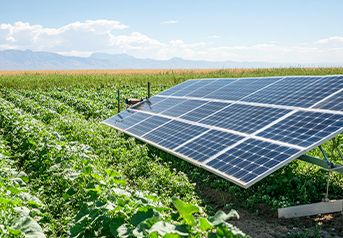 linhas-de-credito linhas-de-credito