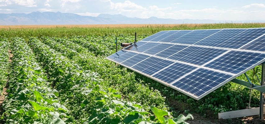 linhas-de-credito linhas-de-credito