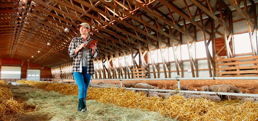 gestao-agropecuaria