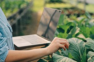 Como montar um bom projeto técnico para crédito rural