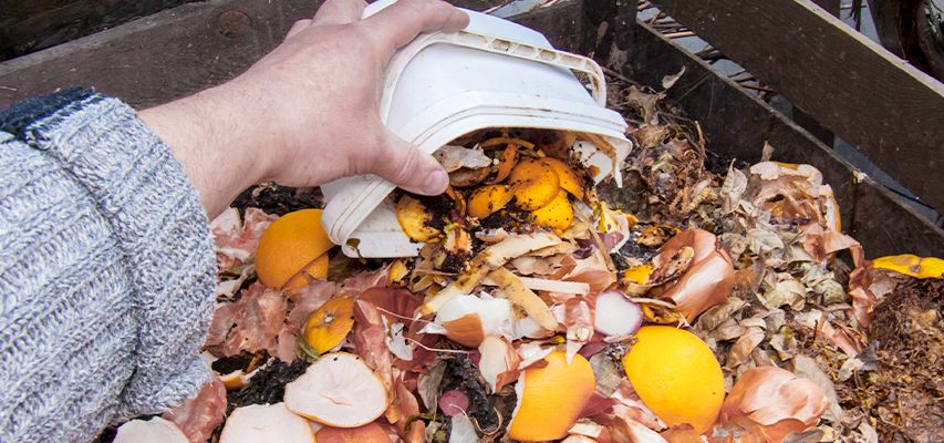 sustentabilidade sustentabilidade