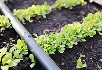 sustentabilidade sustentabilidade