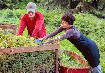 sustentabilidade sustentabilidade
