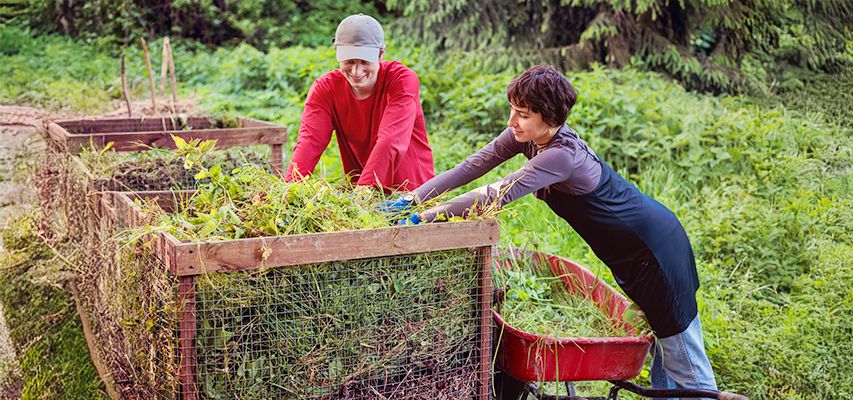 sustentabilidade sustentabilidade