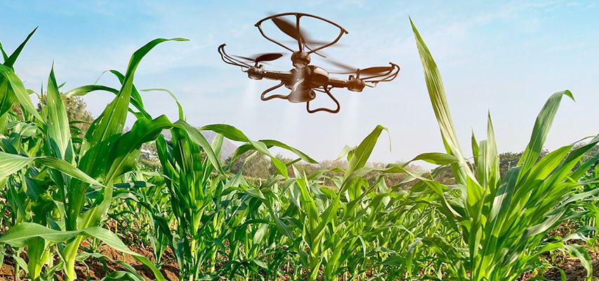 tecnologia tecnologia