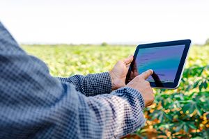 Documentos necessários para solicitar crédito rural em 2025