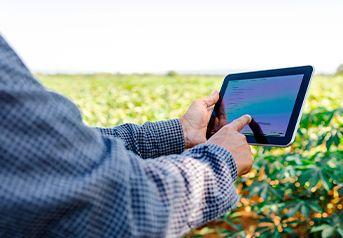 linhas-de-credito linhas-de-credito