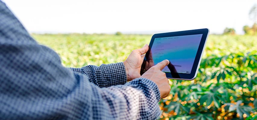 linhas-de-credito linhas-de-credito