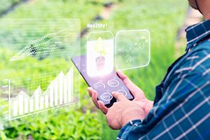 Qual o papel da tecnologia na gestão agropecuária moderna