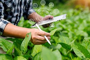 Quais são os benefícios da tecnologia aplicada ao campo