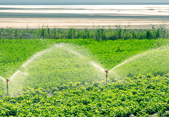 agricultura agricultura