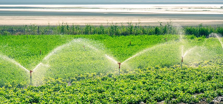 agricultura agricultura