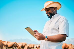 Tipos de garantia em crédito rural: o que pode ser usado e como isso impacta sua proposta