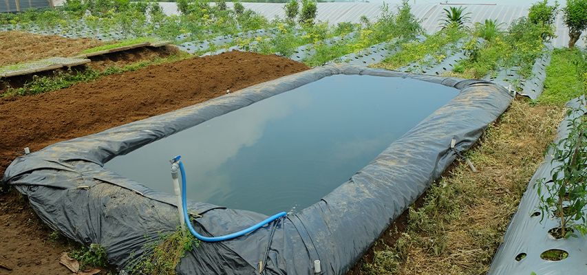 sustentabilidade sustentabilidade