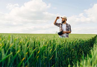 linhas-de-credito linhas-de-credito