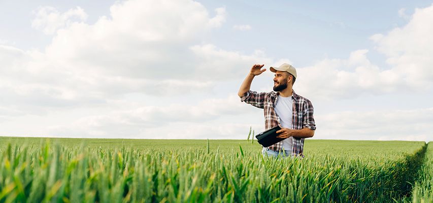 linhas-de-credito linhas-de-credito