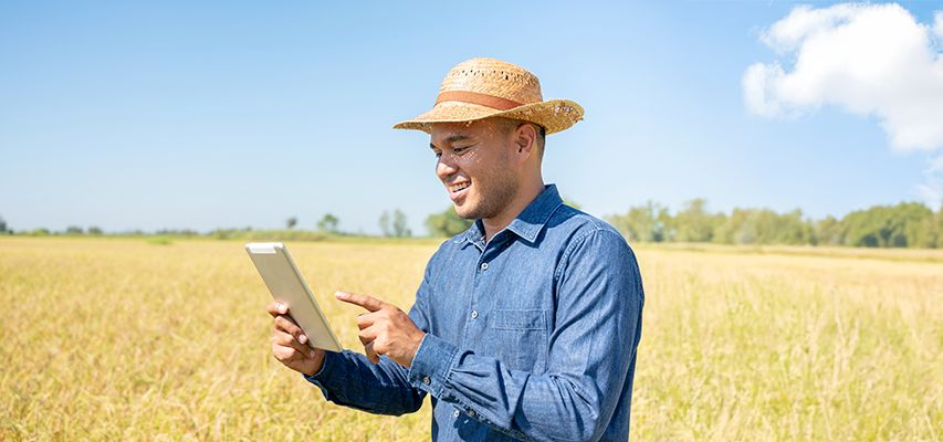 linhas-de-credito linhas-de-credito